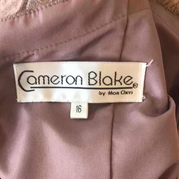 Cameron Blake by Mon Cheri Mother of the Bride Dress - Size 16 - Picture 6 of 9